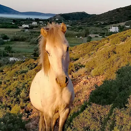 Holiday home Skyrosfamilyhouses-katoi Skyros